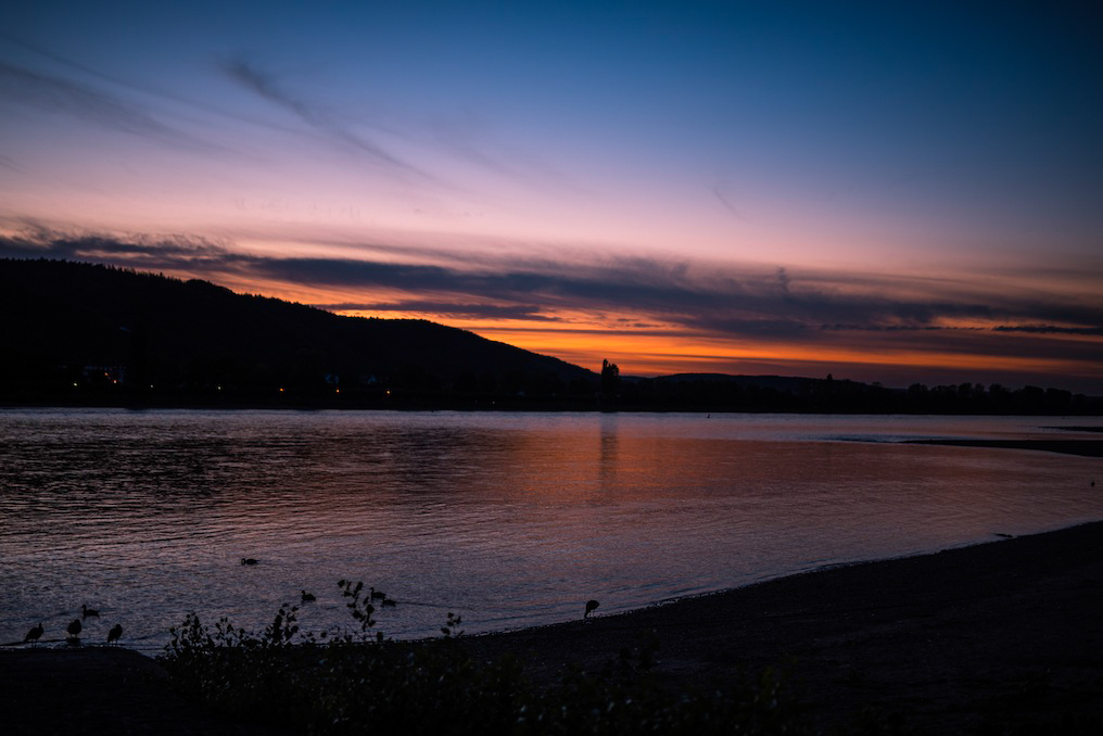 The Rhine after the Sunset.jpg